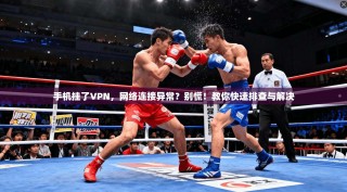 手机挂了VPN，网络连接异常？别慌！教你快速排查与解决