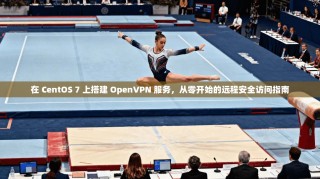 在 CentOS 7 上搭建 OpenVPN 服务，从零开始的远程安全访问指南
