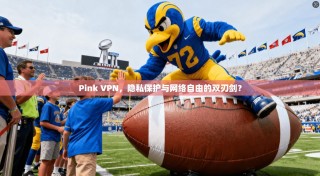 Pink VPN，隐私保护与网络自由的双刃剑？