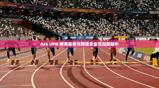 Ark VPN 使用指南与网络安全性深度解析