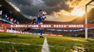 深入解析MPLS VPN原理，构建高效、安全的企业广域网解决方案