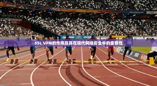 SSL VPN的作用及其在现代网络安全中的重要性