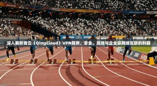 深入解析青云（QingCloud）VPN服务，安全、高效与企业级网络互联的利器