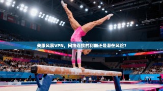 美服风暴VPN，网络连接的利器还是潜在风险？
