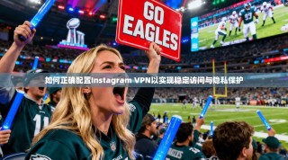 如何正确配置Instagram VPN以实现稳定访问与隐私保护