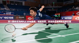 深入解析华为MPLS VPN技术，构建高效、安全的企业网络互联方案