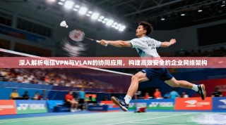 深入解析电信VPN与VLAN的协同应用，构建高效安全的企业网络架构