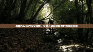 黑莓Priv挂VPN全攻略，安全上网与隐私保护的终极指南