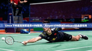 Linux下构建高效安全的VPN服务，从OpenVPN到WireGuard的全面指南