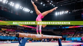 磊科VPN分流技术详解，提升网络效率与安全性的实用方案