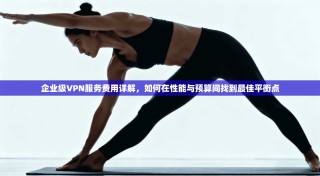 企业级VPN服务费用详解，如何在性能与预算间找到最佳平衡点
