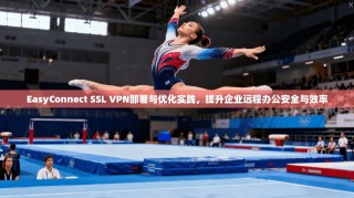 EasyConnect SSL VPN部署与优化实践，提升企业远程办公安全与效率