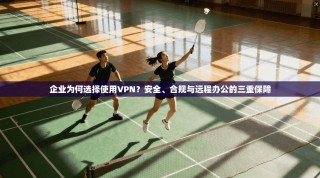 企业为何选择使用VPN？安全、合规与远程办公的三重保障