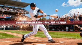 学校内网如何安全使用VPN？网络工程师的实用指南