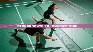 企业为何选择付费VPN？安全、稳定与合规的三重保障