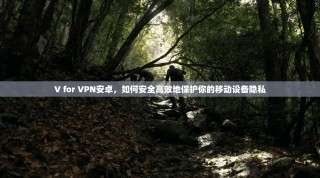 V for VPN安卓，如何安全高效地保护你的移动设备隐私