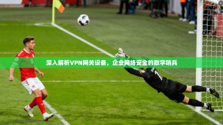 深入解析VPN网关设备，企业网络安全的数字哨兵