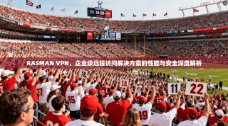 RASMAN VPN，企业级远程访问解决方案的性能与安全深度解析