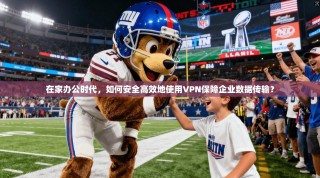 在家办公时代，如何安全高效地使用VPN保障企业数据传输？
