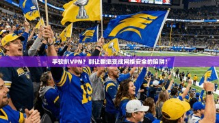 手软扒VPN？别让翻墙变成网络安全的陷阱！