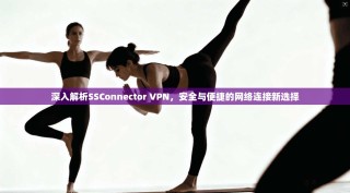深入解析SSConnector VPN，安全与便捷的网络连接新选择