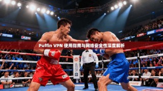 Puffin VPN 使用指南与网络安全性深度解析