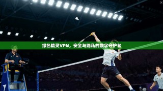 绿色精灵VPN，安全与隐私的数字守护者