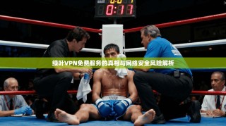 绿叶VPN免费服务的真相与网络安全风险解析