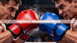 POP没有VPN？网络连接异常的排查与解决方案