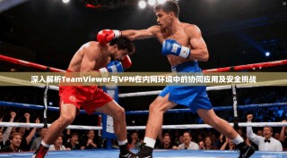深入解析TeamViewer与VPN在内网环境中的协同应用及安全挑战