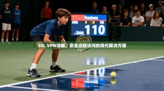 SSL VPN详解，安全远程访问的现代解决方案