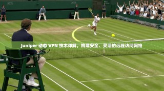 Juniper 动态 VPN 技术详解，构建安全、灵活的远程访问网络