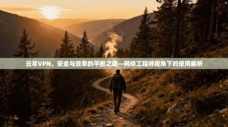 云羊VPN，安全与效率的平衡之道—网络工程师视角下的使用解析