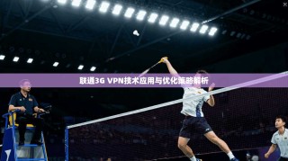 联通3G VPN技术应用与优化策略解析