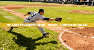 MPLS BGP VPN跨域解决方案详解，构建高效、安全的企业级广域网连接