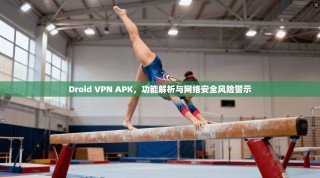Droid VPN APK，功能解析与网络安全风险警示