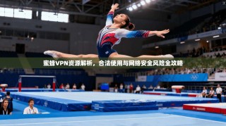 蜜蜂VPN资源解析，合法使用与网络安全风险全攻略