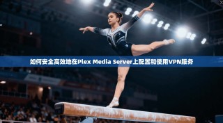 如何安全高效地在Plex Media Server上配置和使用VPN服务