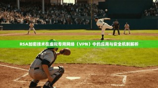 RSA加密技术在虚拟专用网络（VPN）中的应用与安全机制解析