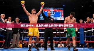 氧系统VPN，企业网络安全的新利器与部署实践