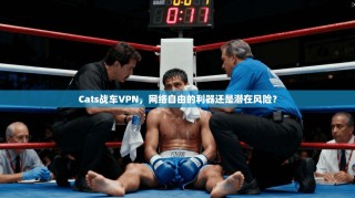 Cats战车VPN，网络自由的利器还是潜在风险？