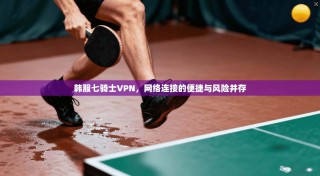 韩服七骑士VPN，网络连接的便捷与风险并存