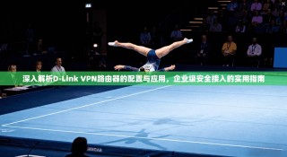 深入解析D-Link VPN路由器的配置与应用，企业级安全接入的实用指南