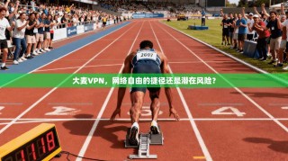 大麦VPN，网络自由的捷径还是潜在风险？