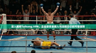 深入解析Taikang.VPN，企业级安全接入与远程办公的可靠保障