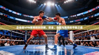 企业级VPN使用规则详解，安全、合规与效率的平衡之道