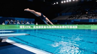 锋鸟VPN，企业级安全与高效网络连接的可靠选择