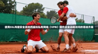 使用SSL构建安全高效的虚拟私有网络（VPN）现代企业远程访问的首选方案