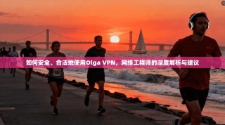 如何安全、合法地使用Olga VPN，网络工程师的深度解析与建议