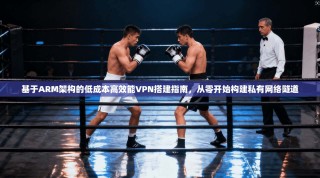 基于ARM架构的低成本高效能VPN搭建指南，从零开始构建私有网络隧道